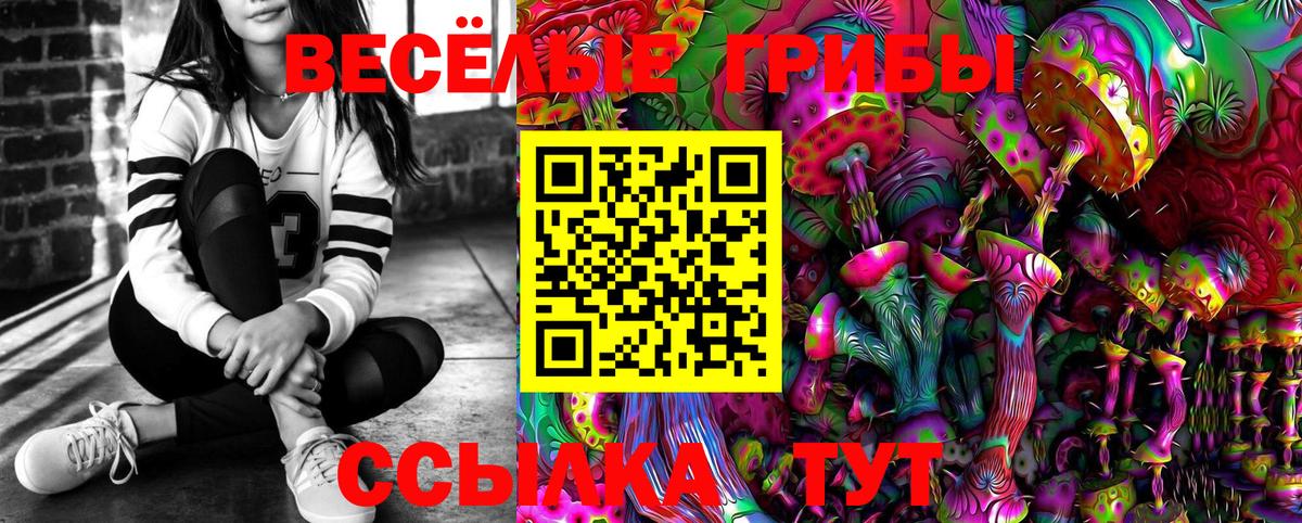 Псилоцибиновые грибы Psilocybine cubensis Люберцы