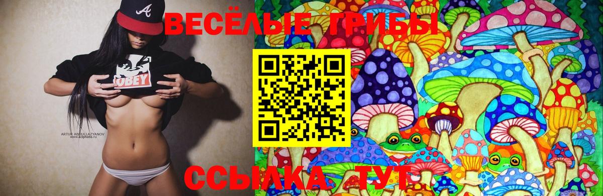 Галлюциногенные грибы MAGIC MUSHROOMS  Галлюциногенные грибы MAGIC MUSHROOMS  Вход с VPN  Люберцы 