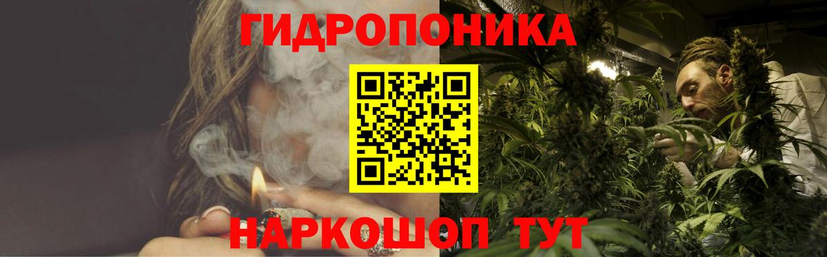 Люберцы  Канабис план  Бошки Шишки OG Kush  Вход с VPN  Конопля VHQ 